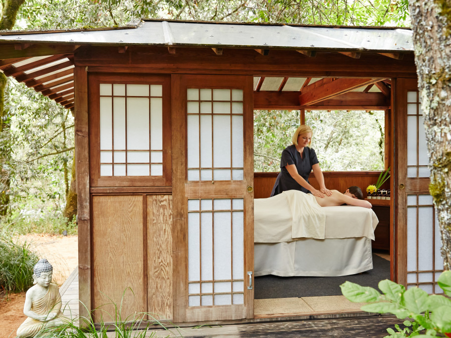 Peaceful spa environment with natural elements